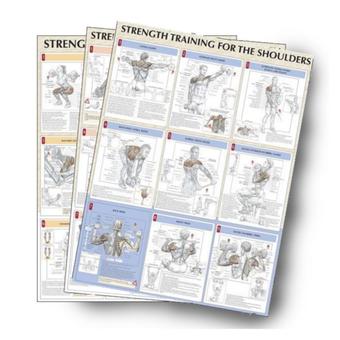 VIVA ชุดโปสเตอร์สีประกอบการเล่นกล้าม จำนวน7แผ่น - Strength Training Anatomy Poster Set
