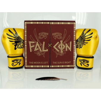 Fairtex Falcon Limited Edition Boxing Gloves - Gold