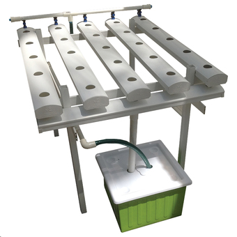 ชุดปลูกผักไฮโดรโปนิกส์ Greenworld Hydroponics Lifestyle Kit - Hobby Kit ขนาด 1 เมตร รุ่น 1M1L525