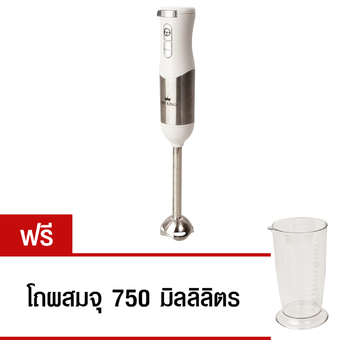 Fry king เครื่องปั่น แบบมือถือ (White)