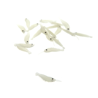 Artificial Fishing Lure Bionic Shrimp Soft Bait Fishing Tackle Noctilucent Luminous Lifelike 20Pcs