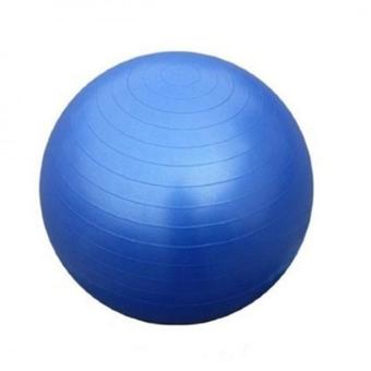OEM OEM-Yoga Ball ลูกบอลโยคะ สีน้ำเงิน (แถมฟรี ที่สูบลม)