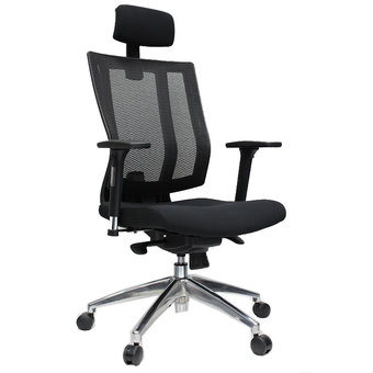 เก้าอี้เพื่อสุขภาพ เออร์โกเทรน รุ่น บียอร์นแม็กซ์ (Maxi - 01BMF) สีดำ