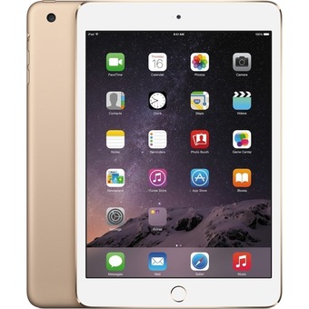 Apple iPad mini 4 Wi-Fi + Cellular 16GB (Gold)