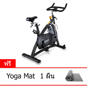 Johnson Indoor Cycle - Classic Johnson Bike