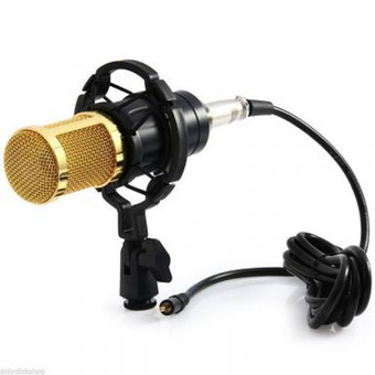 BUYINCOINS Sound Studio Dynamic Mic &amp; Shock Mount BM800 Condenser Pro Audio Microphone (Gold)