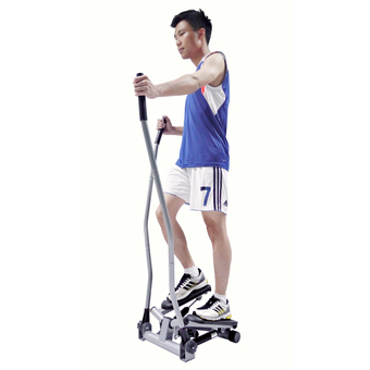 Goldex เครื่องออกกำลังกาย Mini Twist Stepper