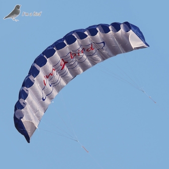 I Am A Bird 1.4M Dual Line Stunt Sports Beach Power Parachute Parafoil Kite (Blue)