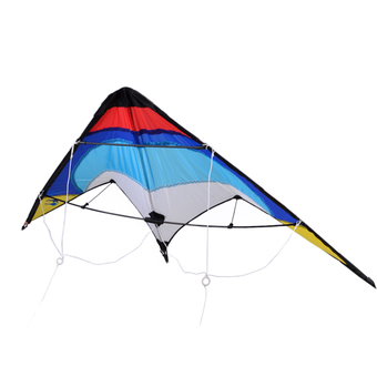 Cyber Professional Sporty Stunt Kite Dual Line Control Windy Outdoor Leisure Activity