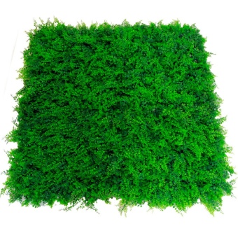 Dgrass รั้วต้นไม้เทียม ต้นเฟิร์น ติดผนัง กำแพง ขนาด 1x1 เมตร (รุ่น MZ-88009) - สีเขียว