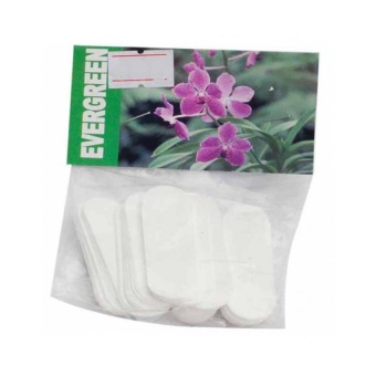 Evergreen ป้ายบางแขวน Label Hang Tag เล็ก (1 แพ็ค)