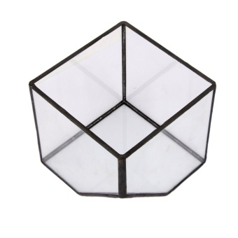 Glass Terrarium Cube Fairy Garden House Greenhouse Size S