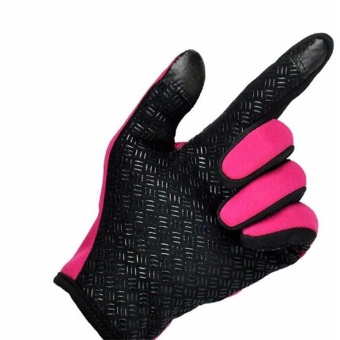 Outdoor Sport Gloves Touch Screen Windproof Winter Windstopper Waterproof Gloves (Rose)