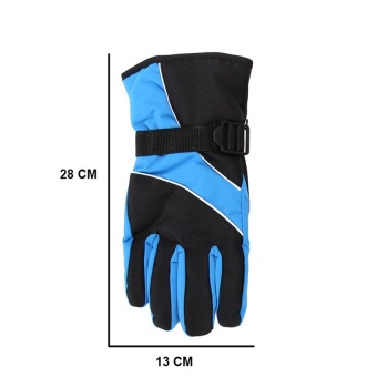 2016 High Quality Winter outdoor sport Mountain Skiing Gloves windproof waterproof warm snowboard Below Zero ski Cycling Gloves(sapphire blue)