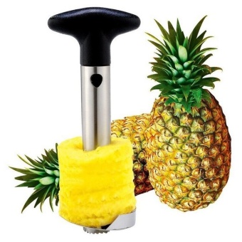 Pineapple Corer Slicers Fruit Cutter Peeler AY015-SZ