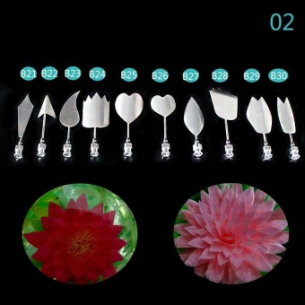 BUYINCOINS 2016 Newest 5 Style Amazing Gelatin Art Needles Tools Gracilaria Jelly 3D Jello Cake Tools 10pcs#2 - intl